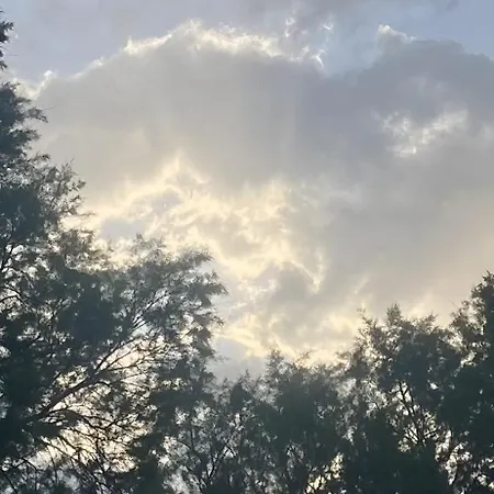 στη γοητεία του ολύμπου *