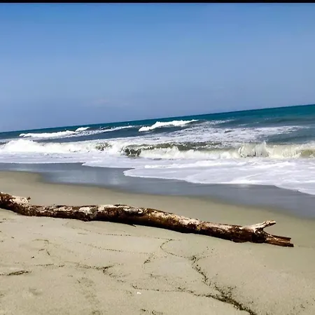 στη γοητεία του ολύμπου *